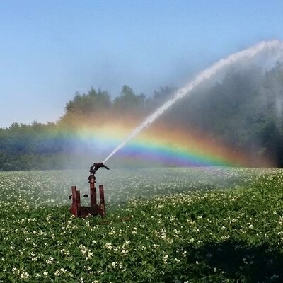 Steenakker, foto Elles van Loenen