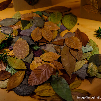 Keltische Midwinterdag - 17 dec 23
