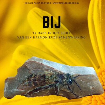 BIJ-steen van Marloes