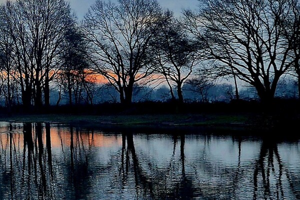 FOTO'S CAROUSEL