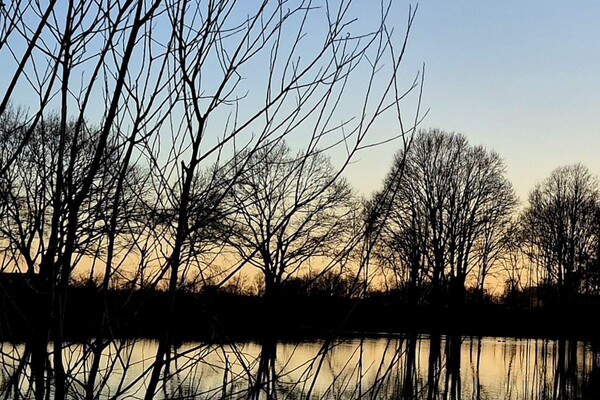 FOTO'S CAROUSEL