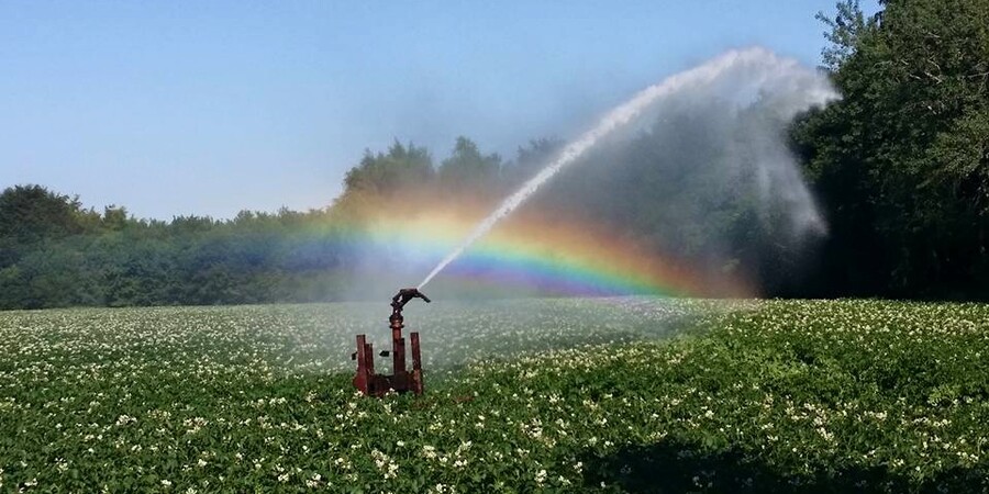 Steenakker, foto Elles van Loenen