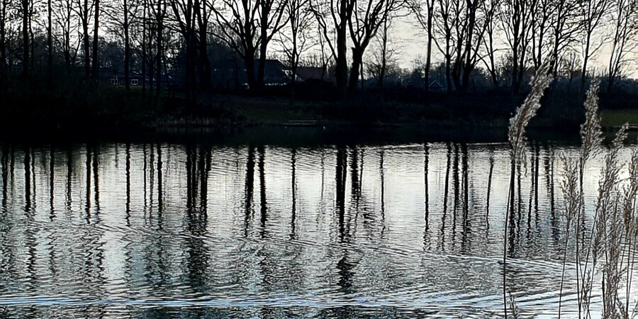 Vijver bij de Steenakkerte wandeling